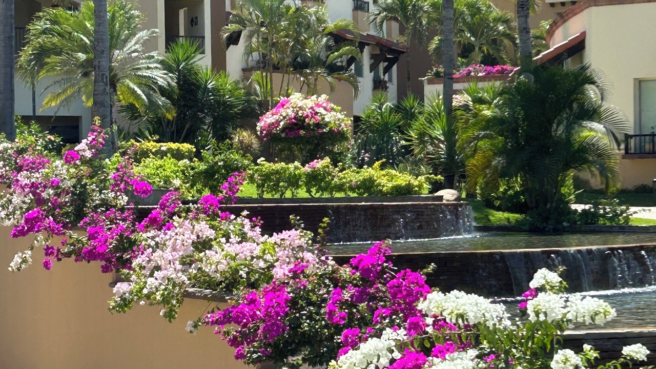 Photo of Outdoor in Flamingos