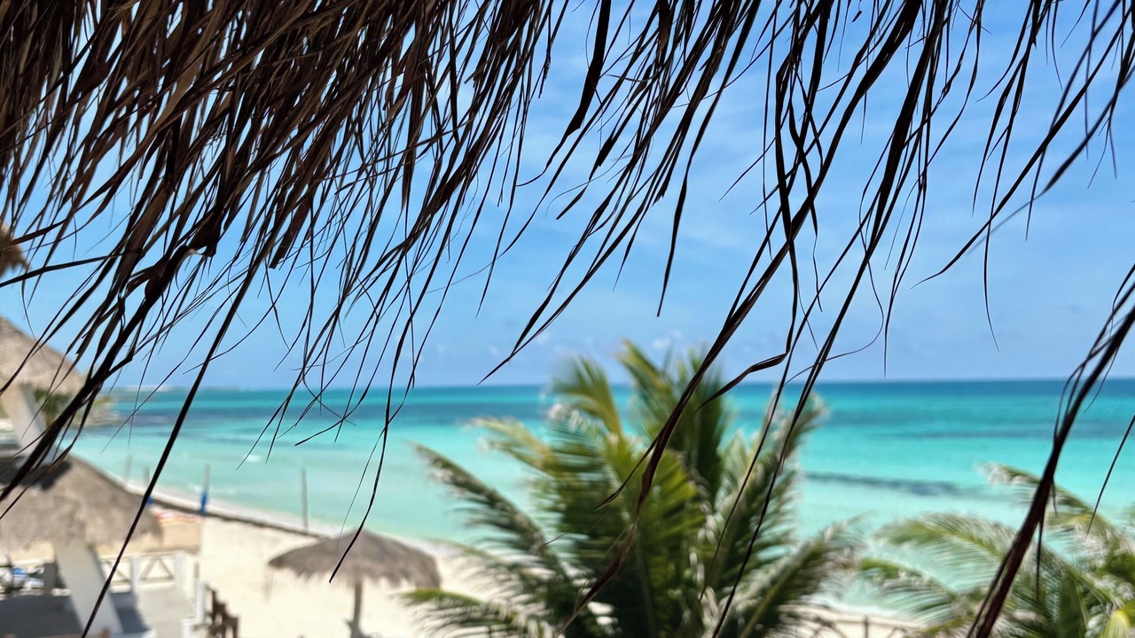 Photo of Others in Playa del Secreto