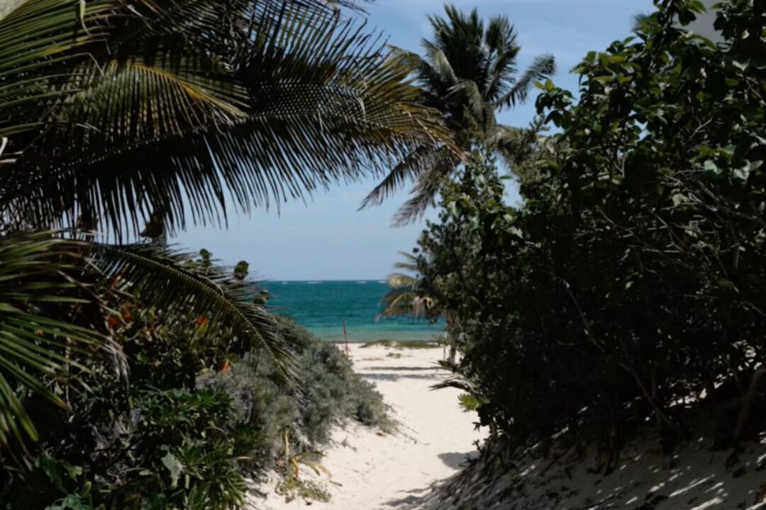 Photo of Others in Puerto Morelos