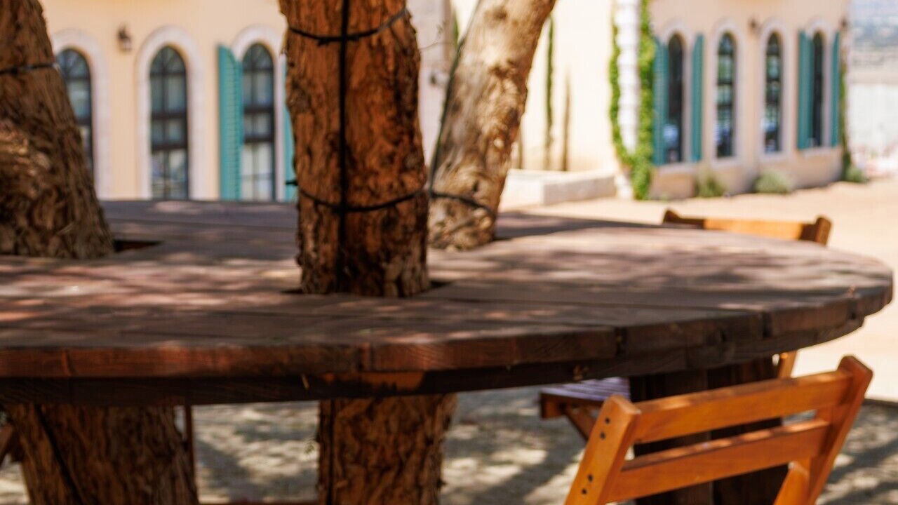 Photo of Others in Valle de Guadalupe