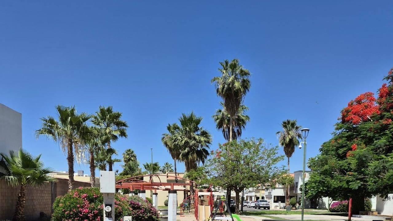 Photo of Others in Hermosillo