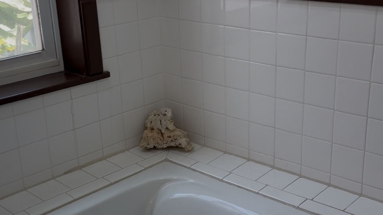 Photo of Bathroom in Playas de Rosarito