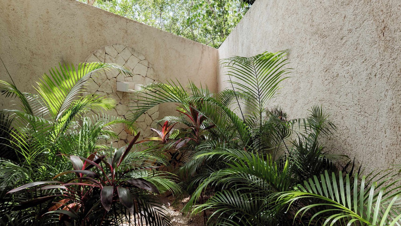 Photo of Outdoor in Tulum City Center
