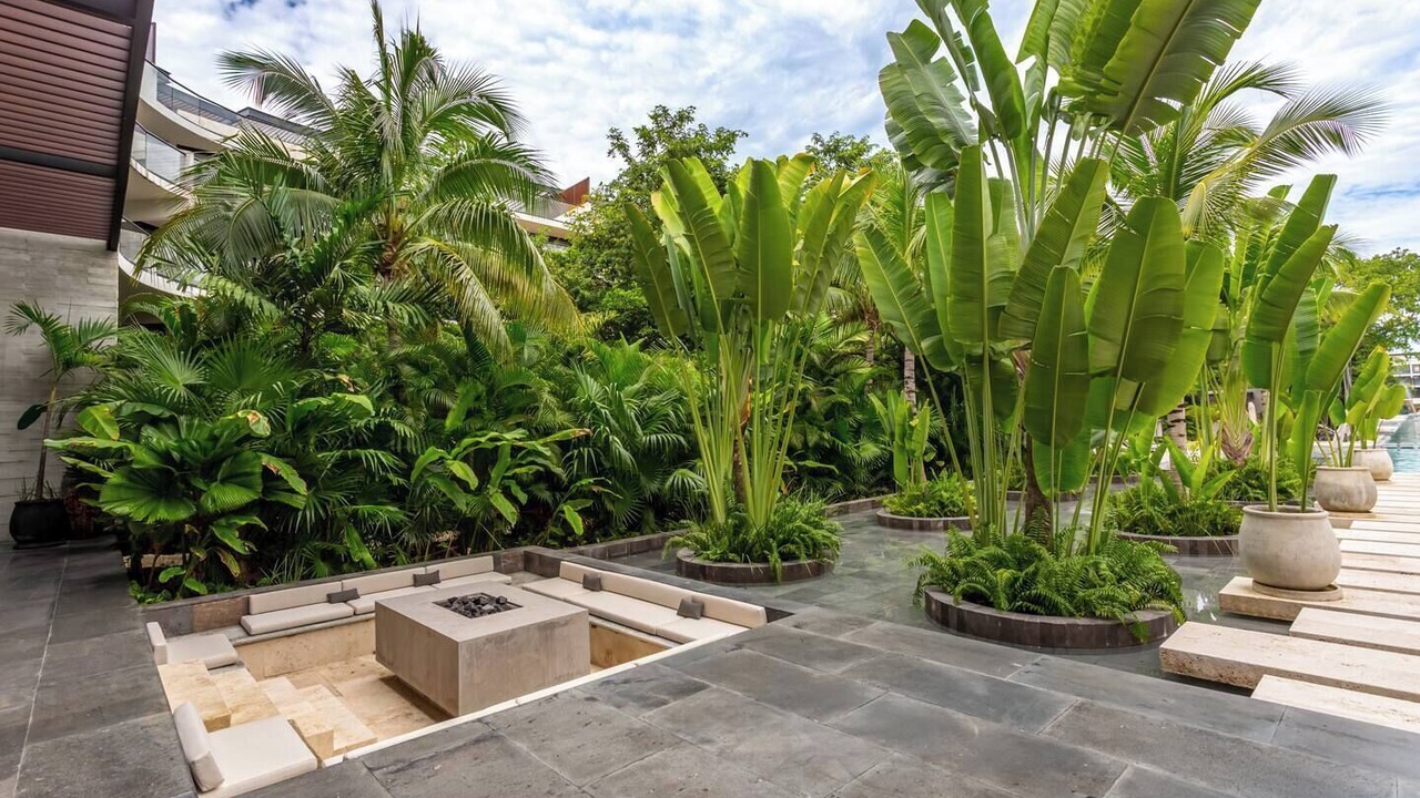 Photo of Outdoor in Playacar