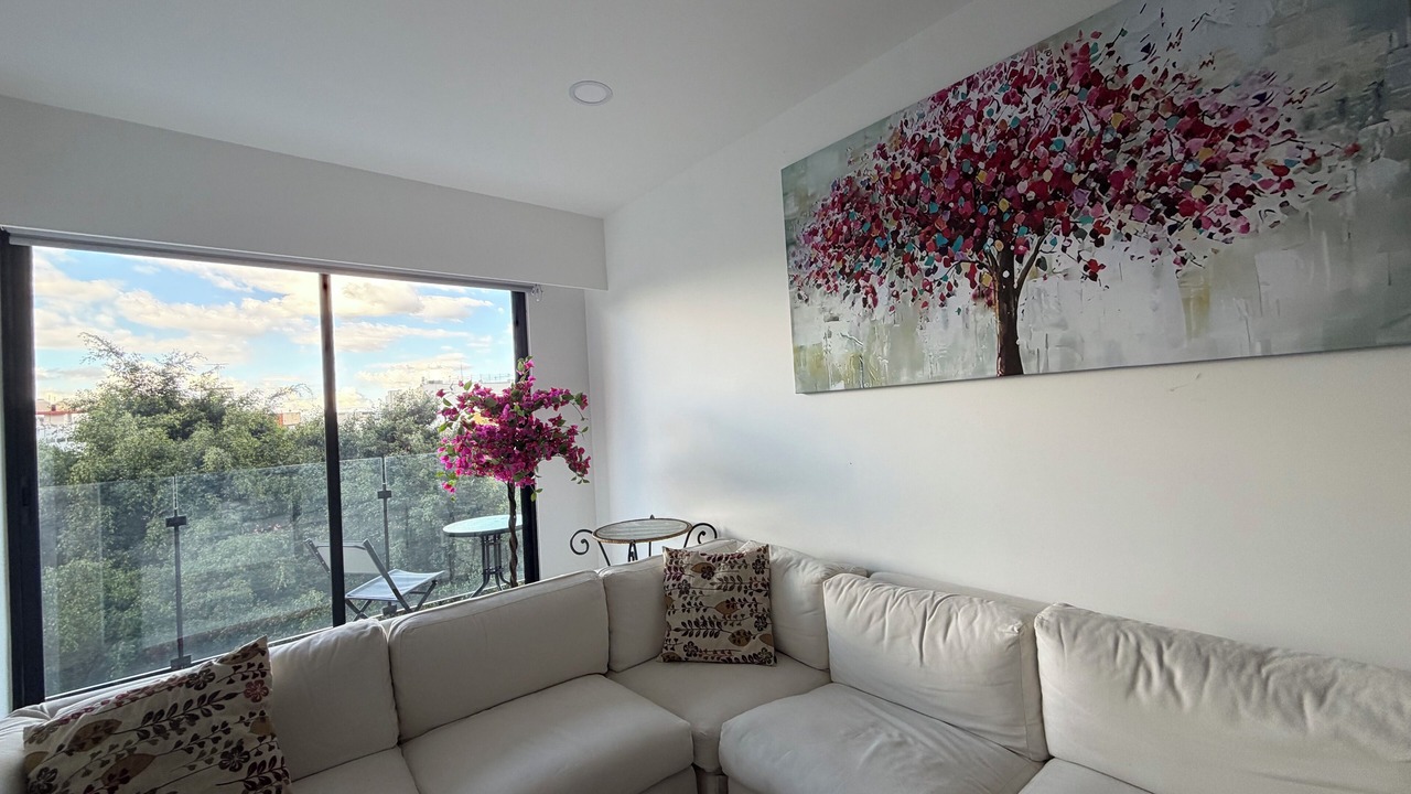 Photo of Livingroom in Coyoacan