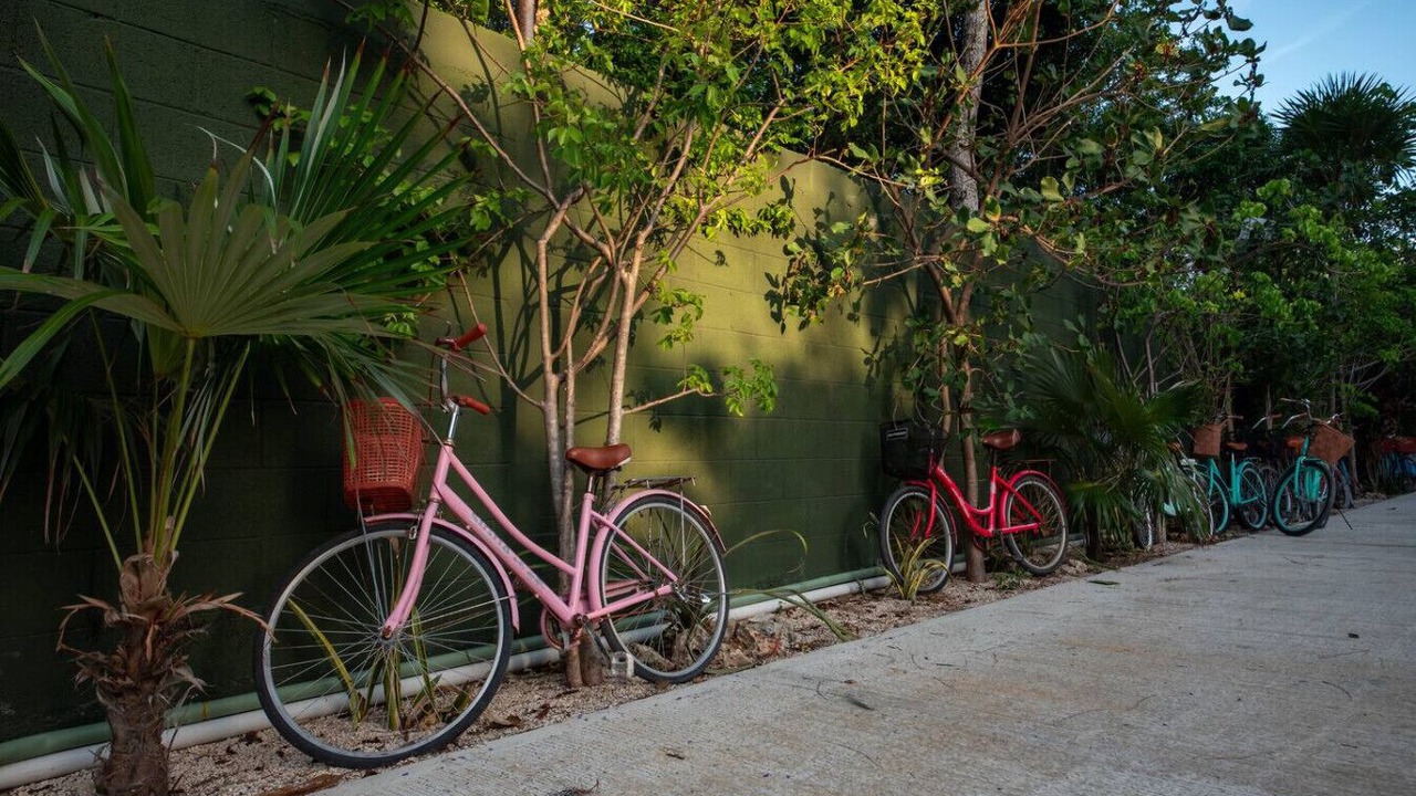 Photo of Outdoor in Playa Paraiso