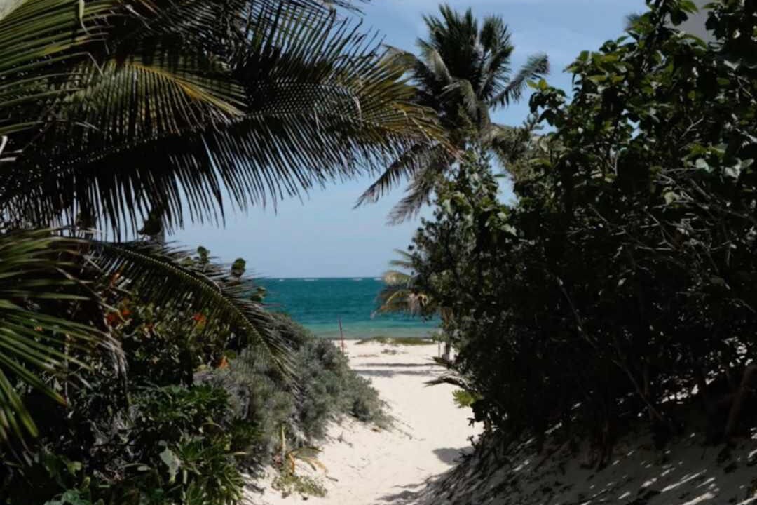 Photo of Others in Puerto Morelos