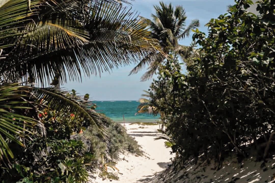 Photo of Others in Puerto Morelos