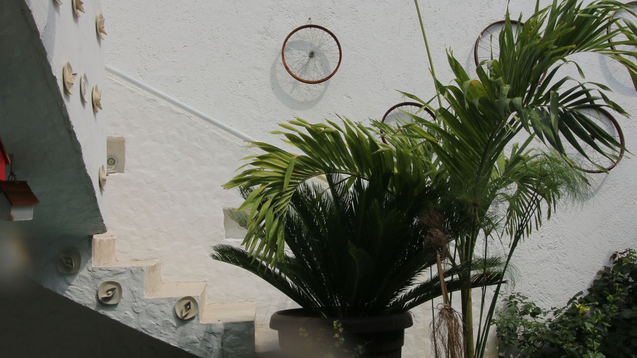 Photo of Outdoor in Morelia