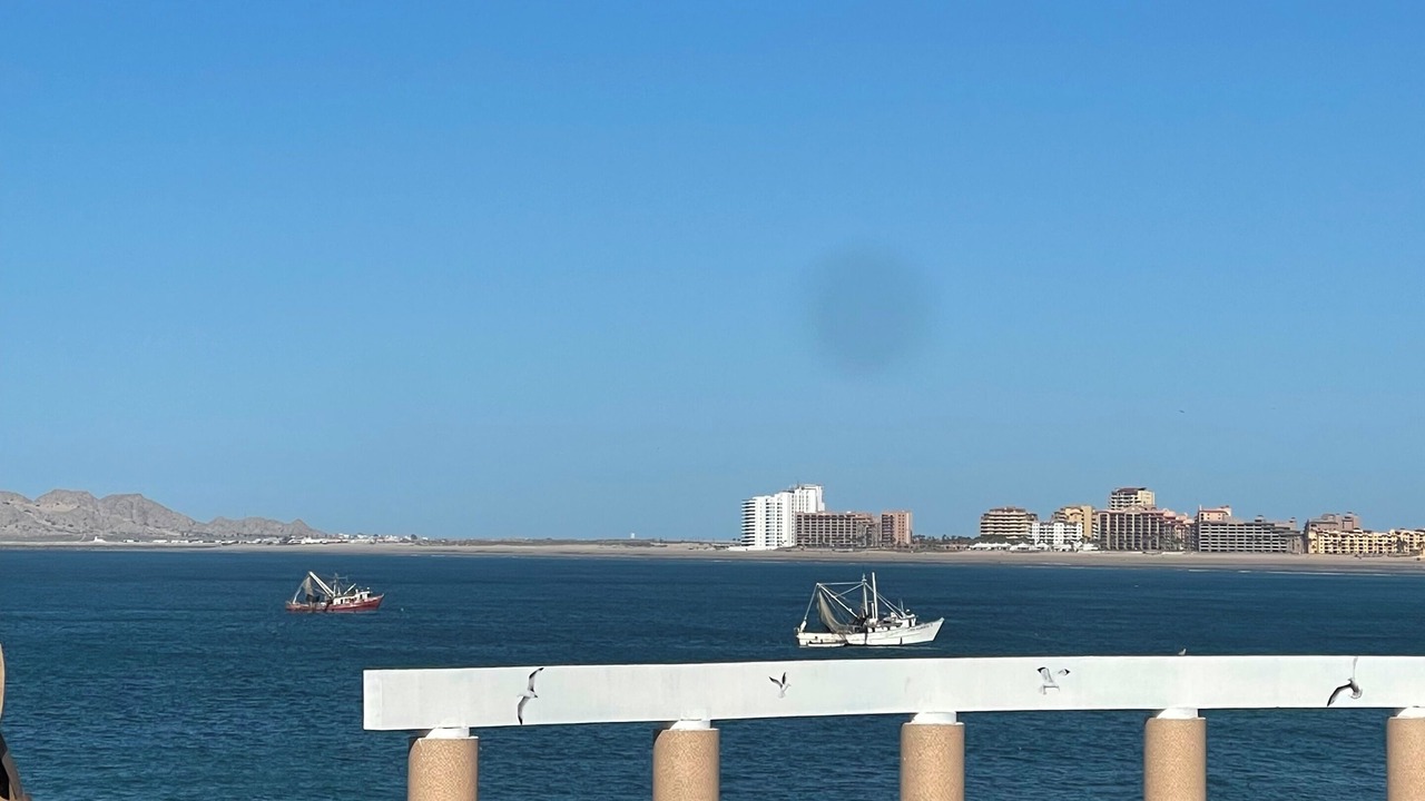 Photo of Others in El Puerto