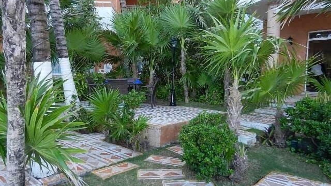 Photo of Outdoor in Playacar
