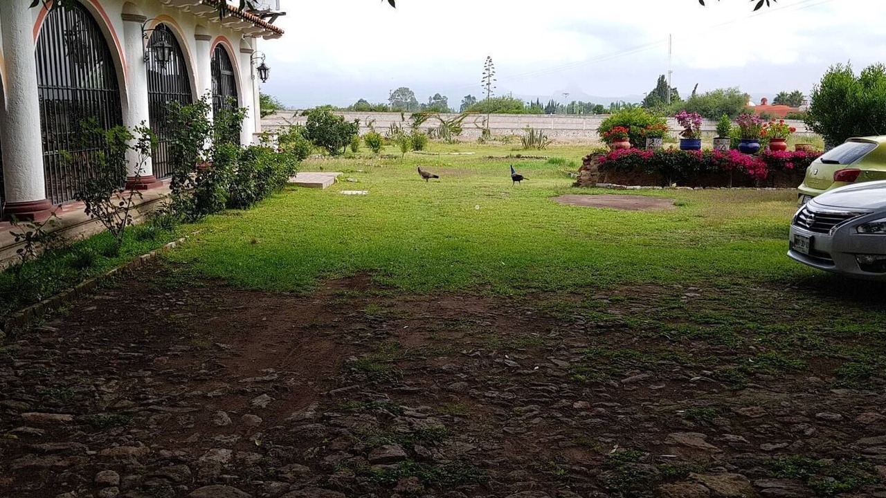 Photo of Outdoor in Tequisquiapan