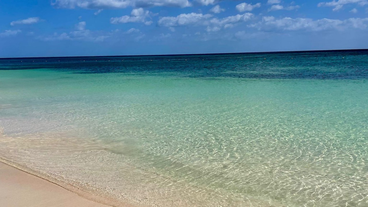 Photo of Others in Puerto Morelos