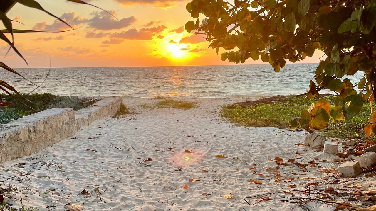 Photo of Others in Puerto Morelos
