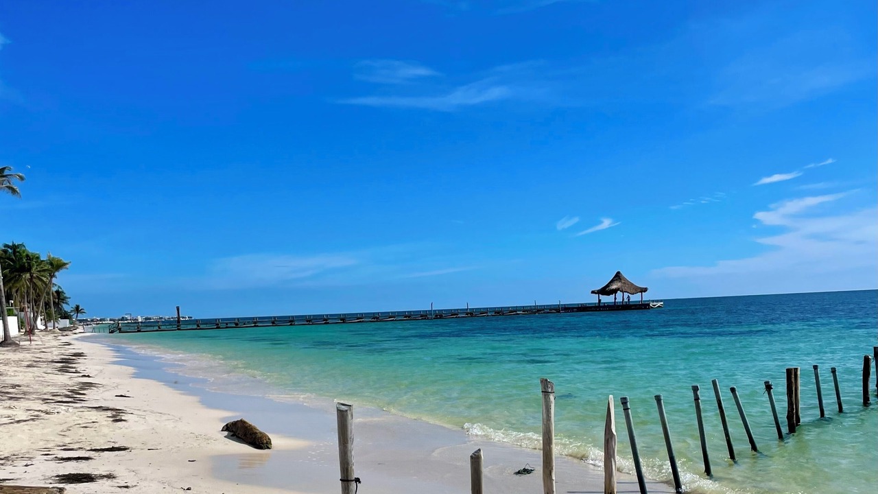 Photo of Others in Puerto Morelos