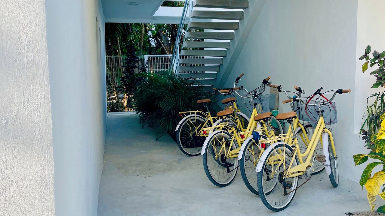 Photo of Outdoor in Puerto Morelos
