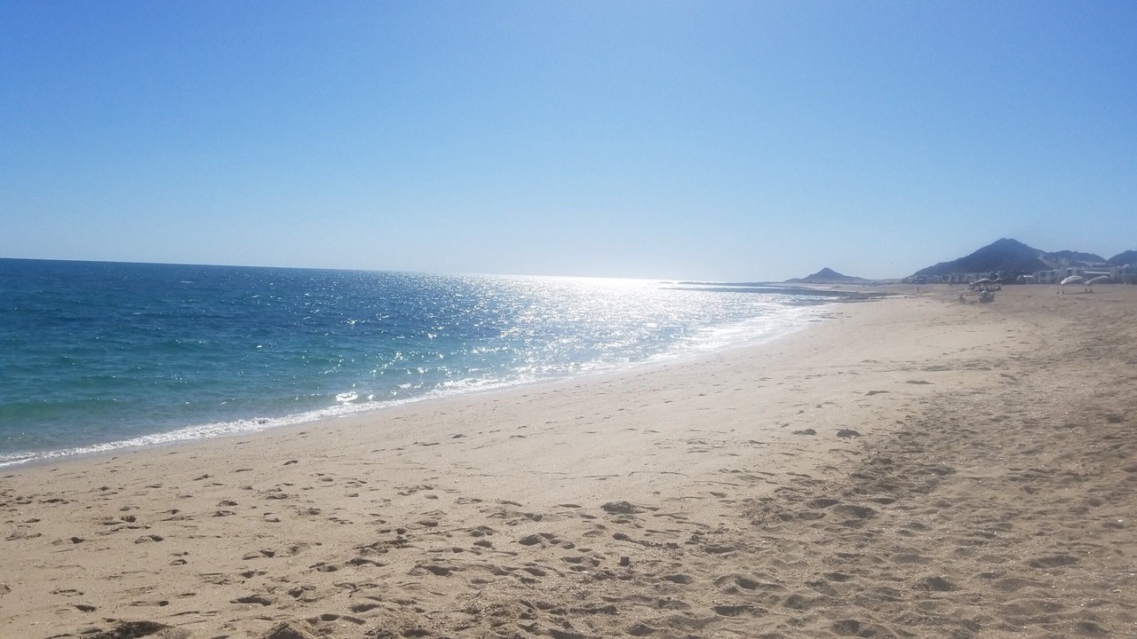 Photo of Others in Cholla Bay