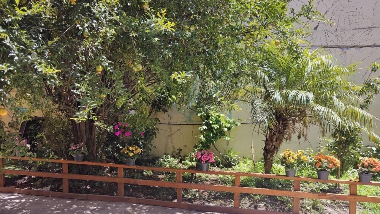 Photo of Outdoor in Gustavo A. Madero