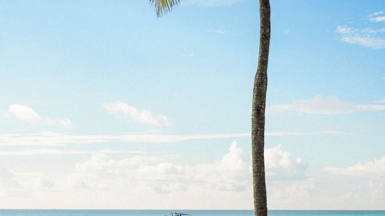 Photo of Outdoor in Playacar