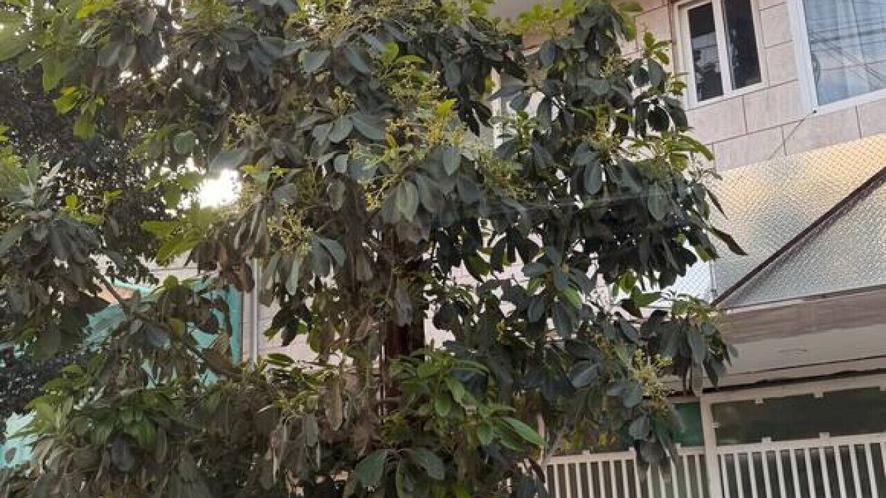 Photo of Outdoor in Venustiano Carranza