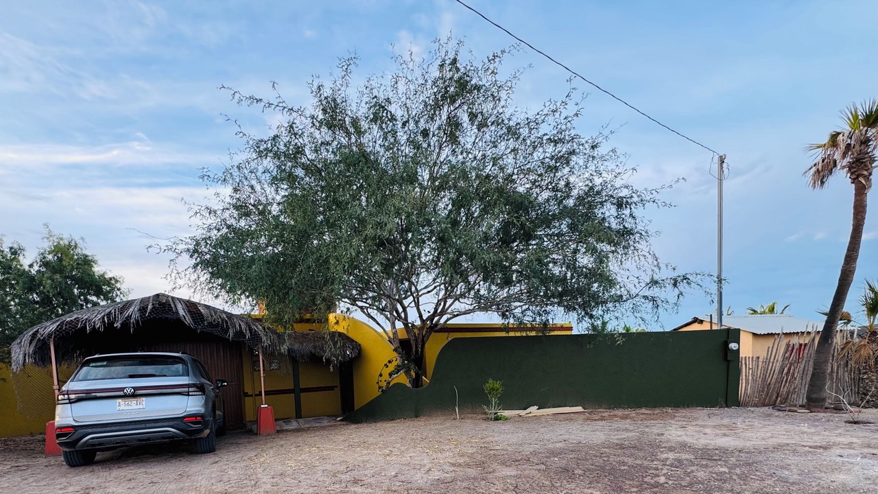Photo of Outdoor in San Juanico