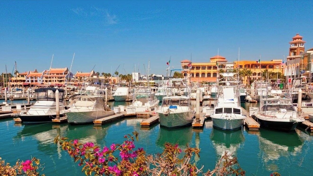 Photo of Others in Los Cabos