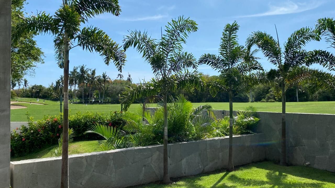 Photo of Outdoor in Flamingos