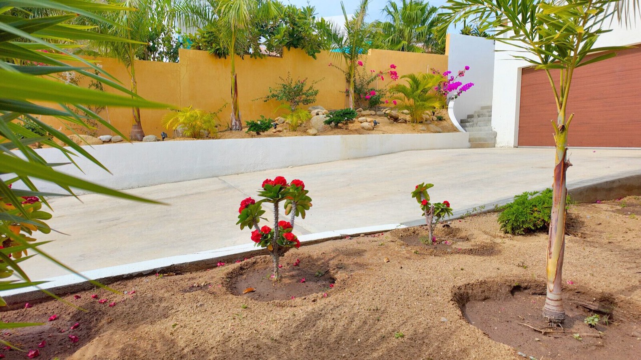 Photo of Outdoor in Buenavista