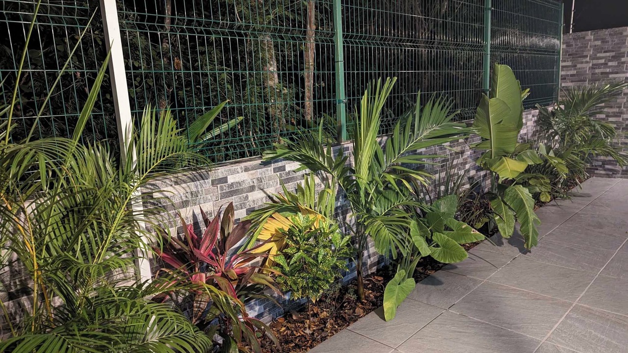 Photo of Outdoor in Puerto Juarez