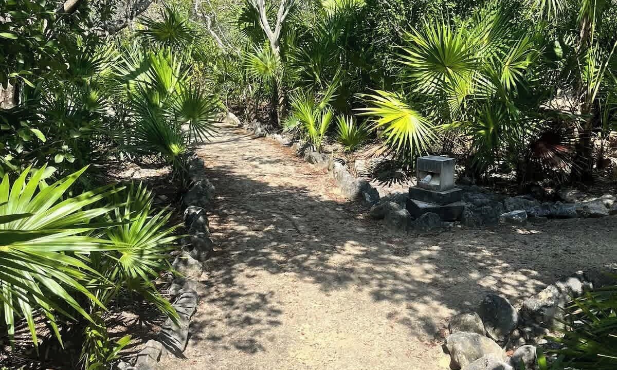 Photo of Others in Akumal