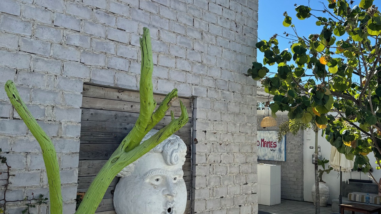 Photo of Outdoor in Buenavista