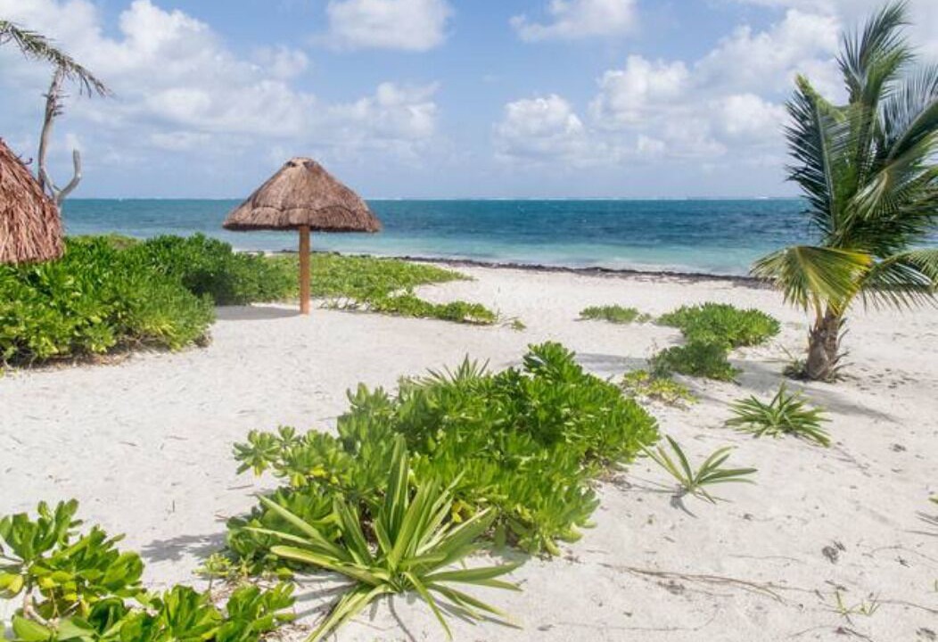 Photo of Others in Puerto Morelos