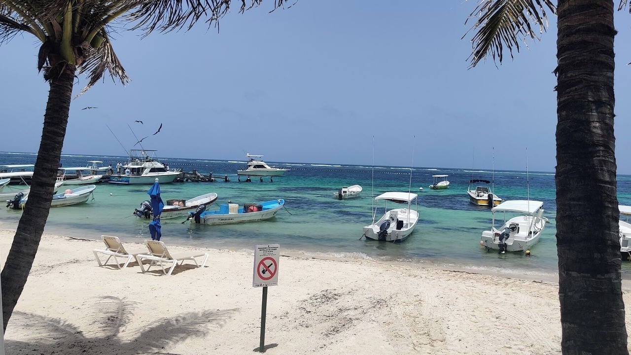 Photo of Others in Puerto Morelos