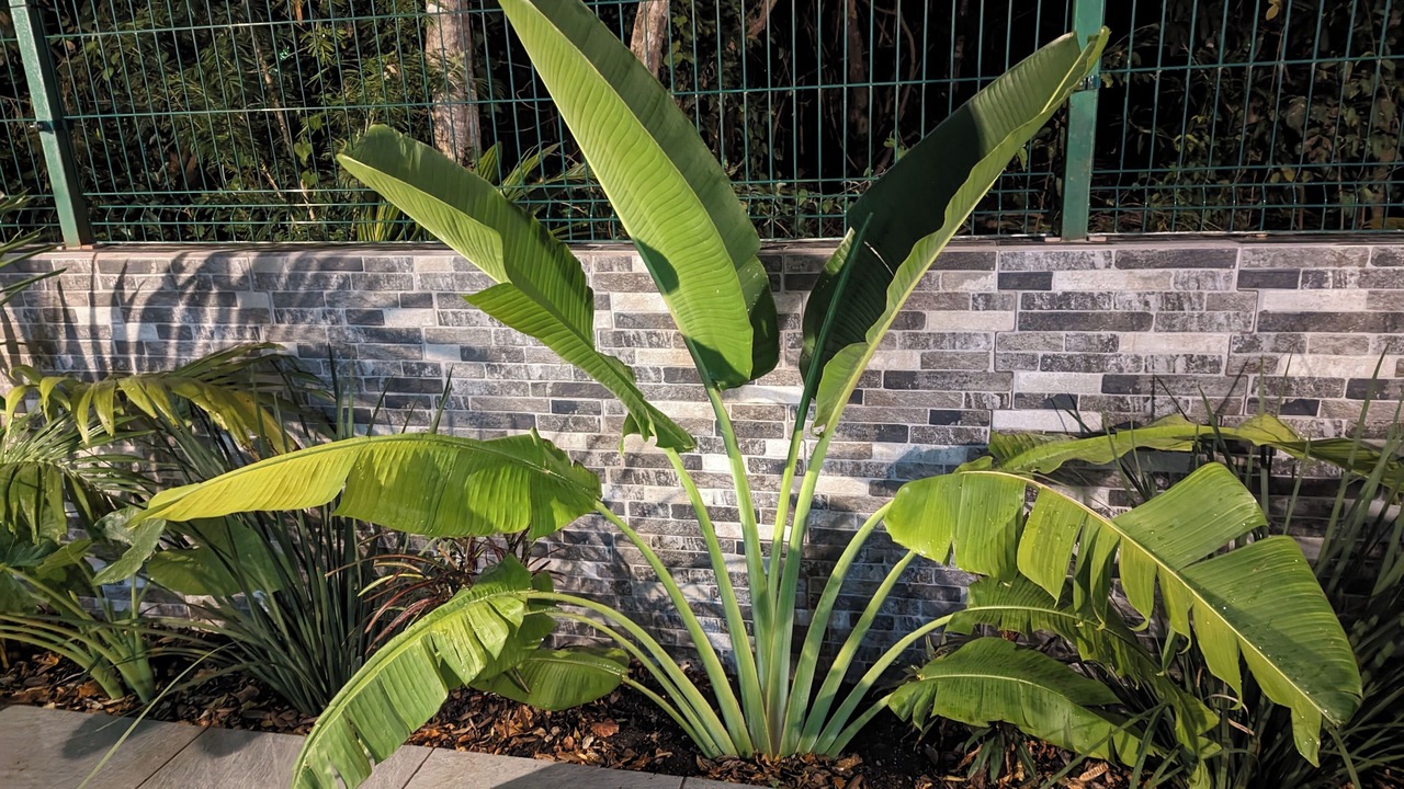 Photo of Outdoor in Villa Juarez