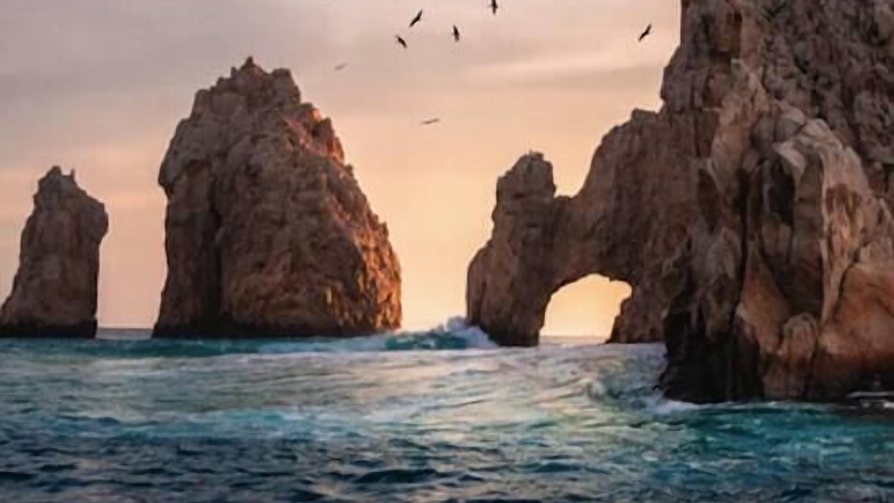 Photo of Others in Downtown Cabo San Lucas