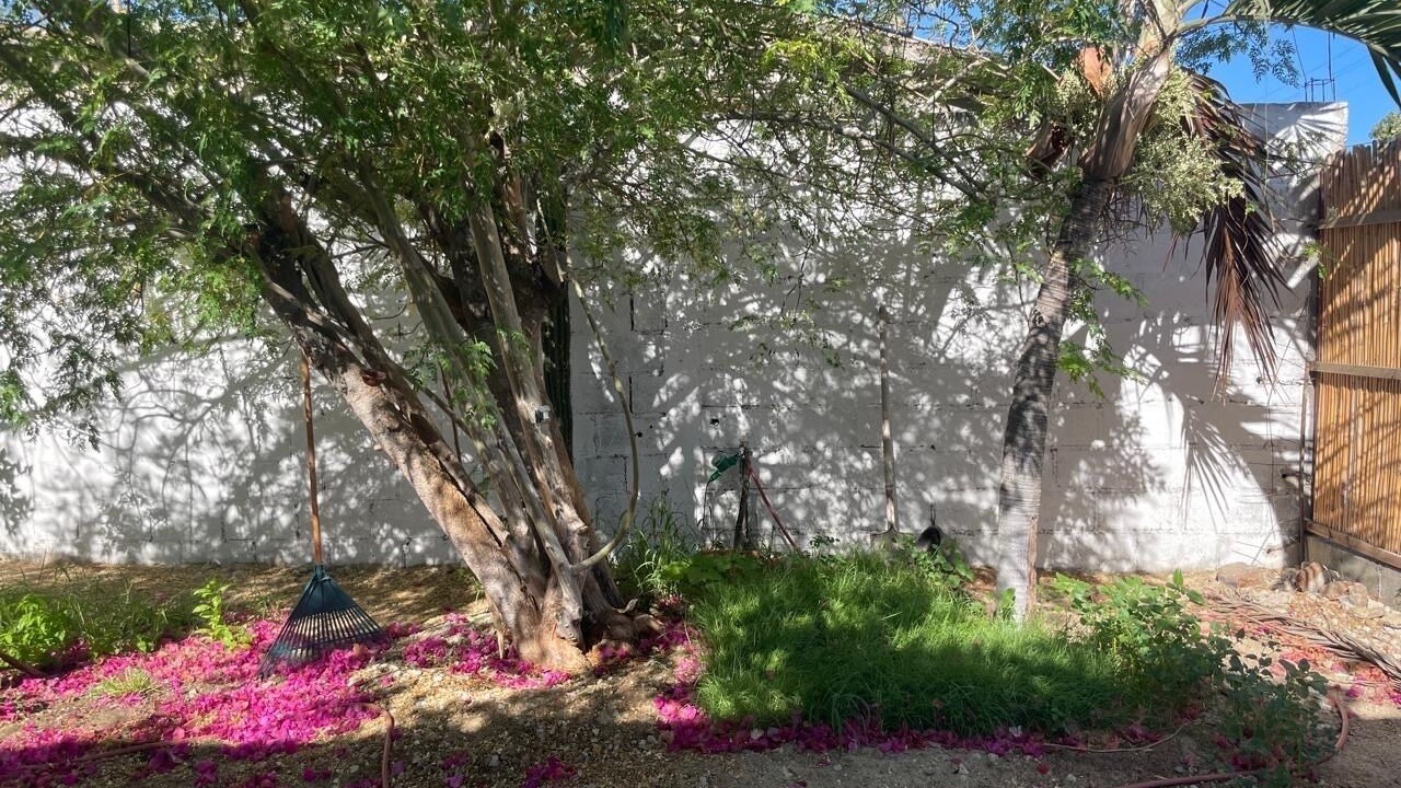 Photo of Outdoor in Downtown San Jose del Cabo