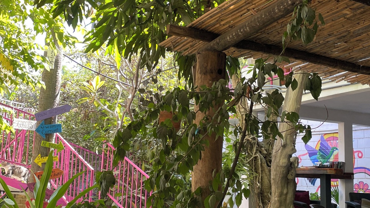 Photo of Patio Balcony in San Jose del Cabo
