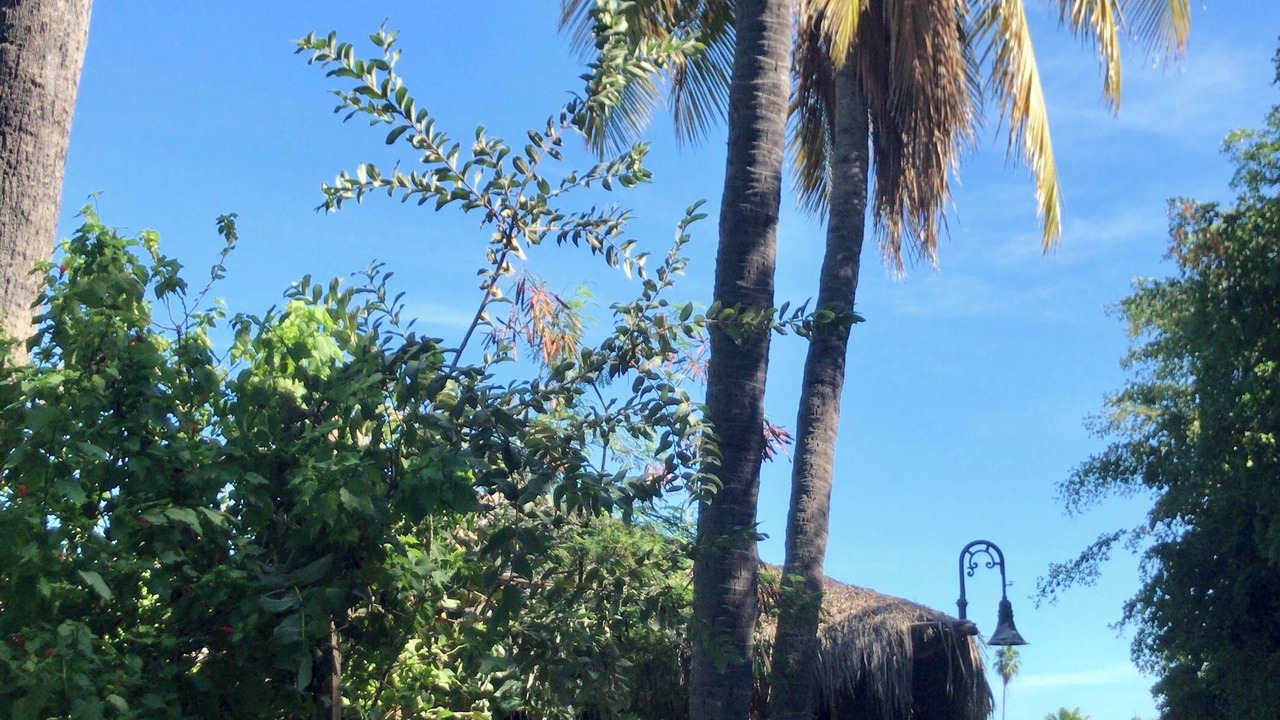 Photo of Outdoor in Santa Rosa