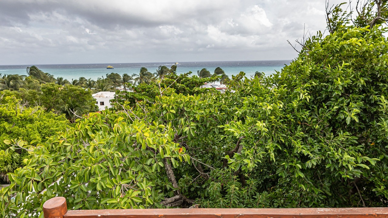Photo of Outdoor in Playacar