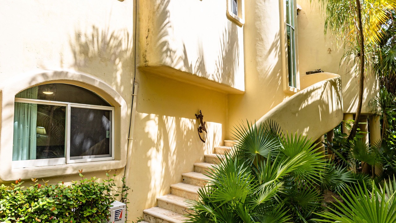 Photo of Outdoor in Playacar