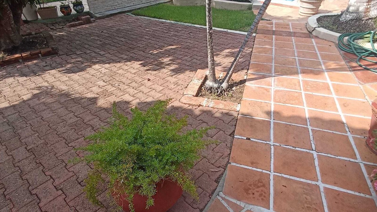 Photo of Outdoor in Flamingo