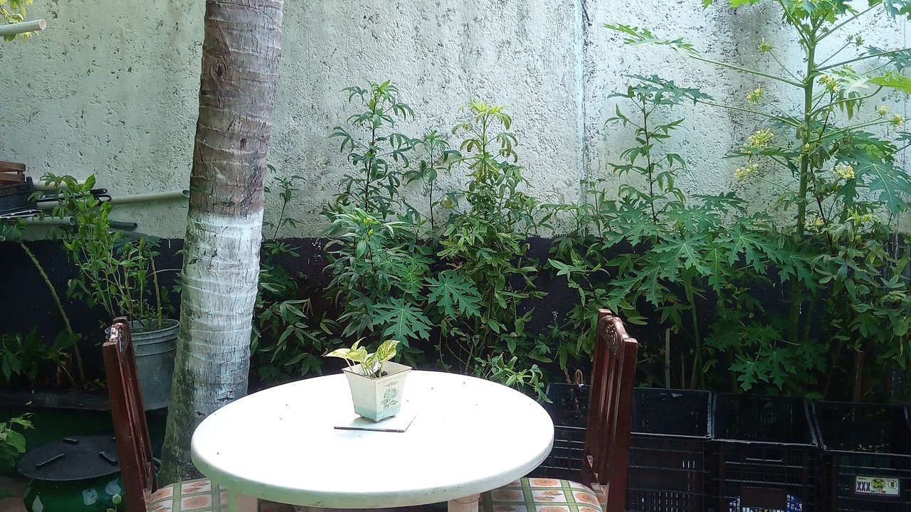Photo of Outdoor in San Miguel II