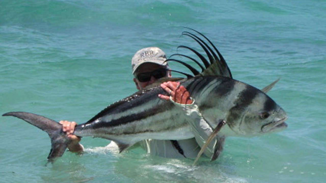 Photo of Others in Los Barriles