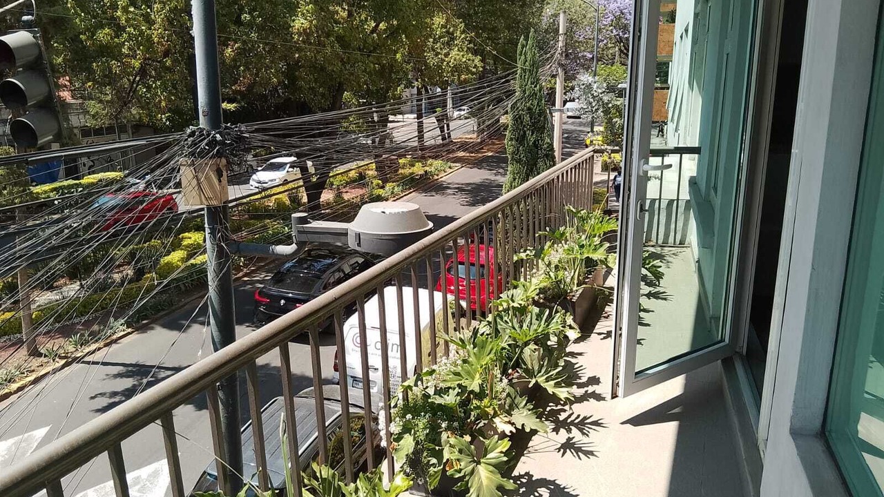 Photo of Outdoor in Polanco