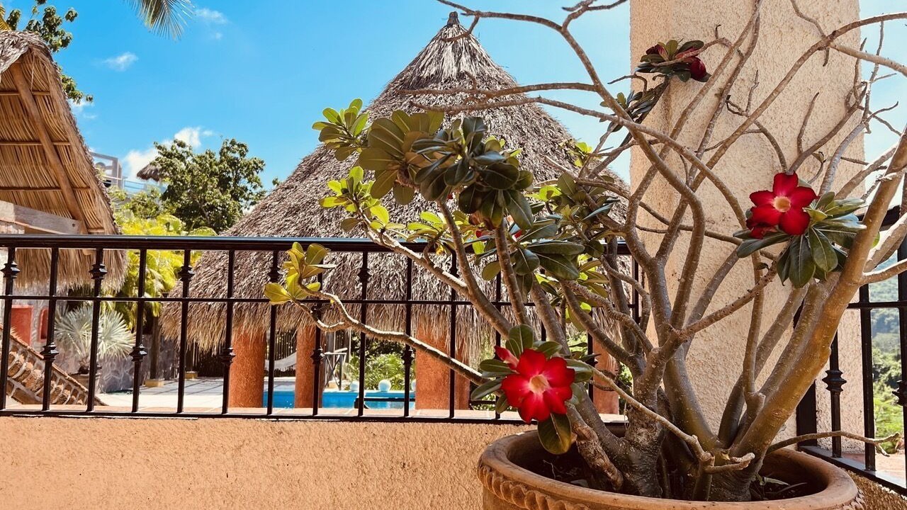 Photo of Outdoor in La Manzanilla