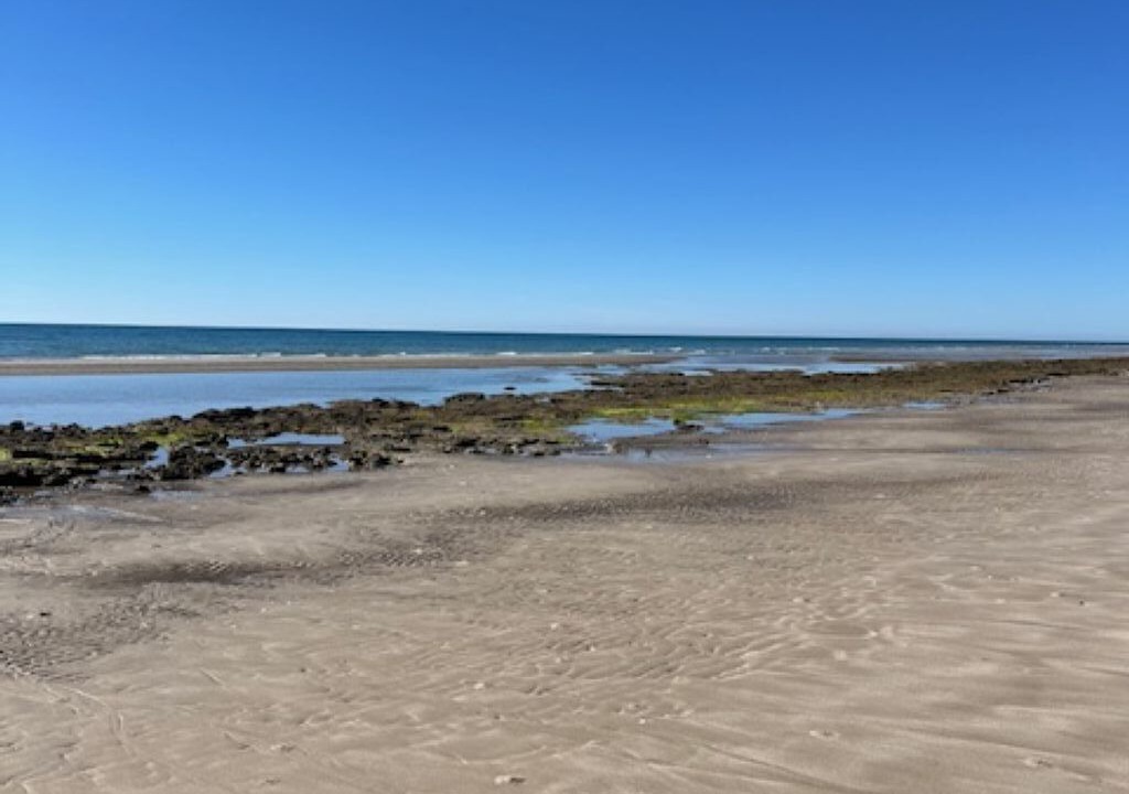 Photo of Others in Puerto Penasco