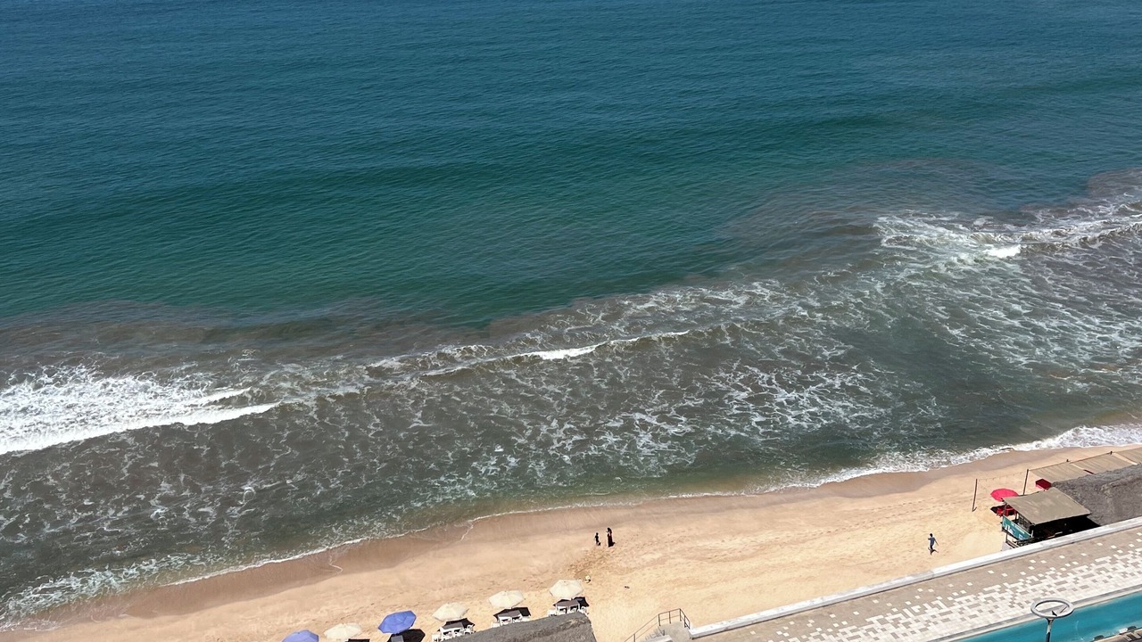 Photo of Others in Mazatlan