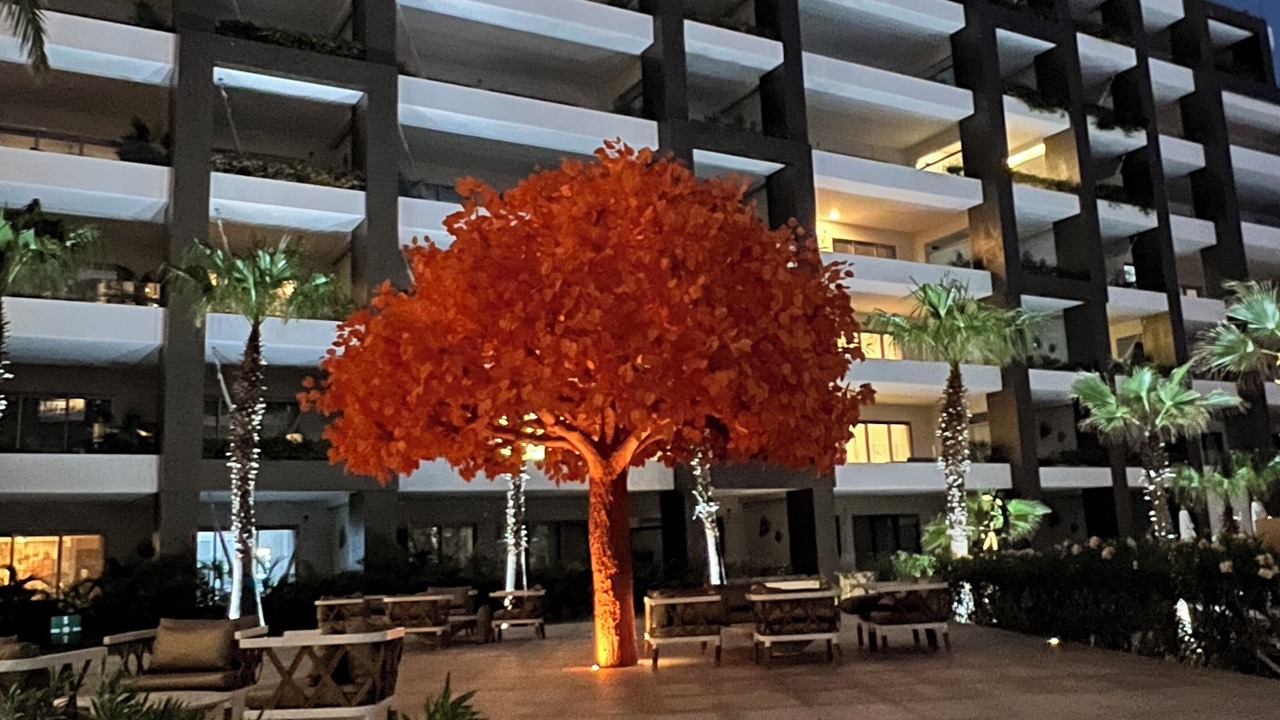 Photo of Outdoor in Ampliacion Juarez