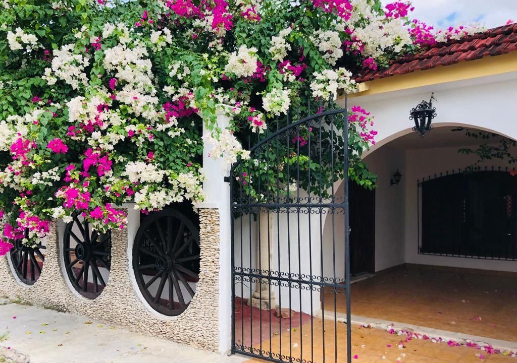 Photo of Outdoor in Centro