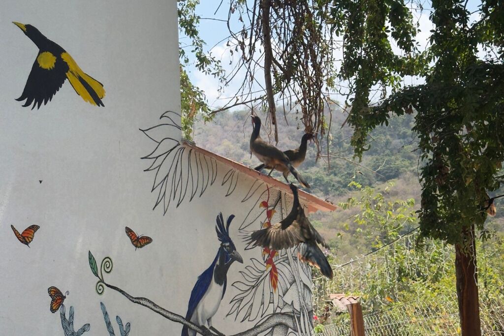 Photo of Outdoor in Quimixto